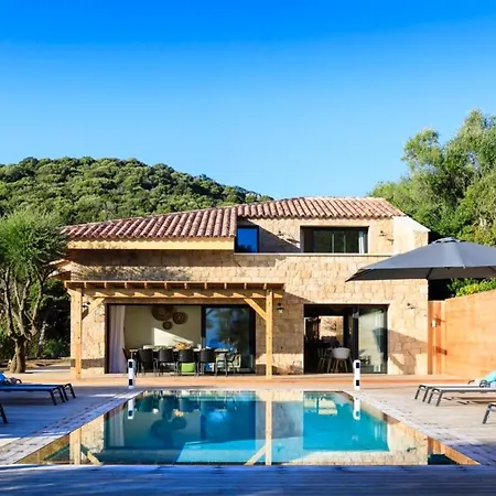 The House